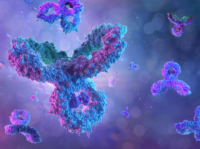 Antibodies illustration