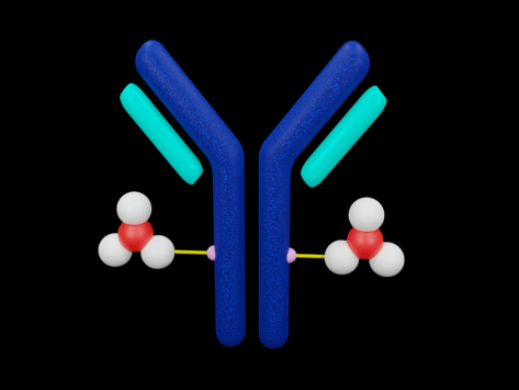 Antibody-drug conjugate illustration