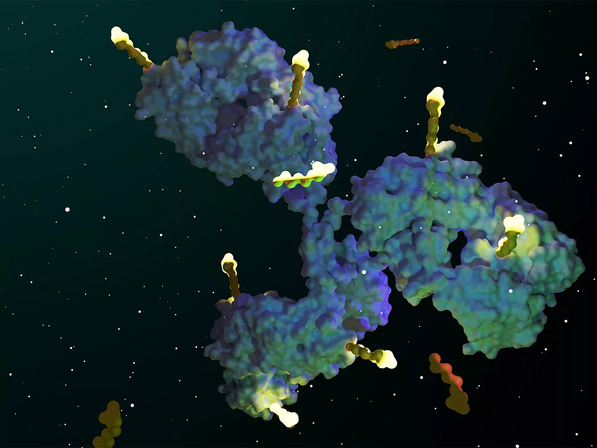‘Target-high but uptake-defective’ state identified in ADC resistance