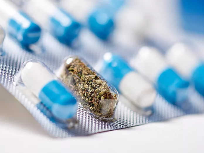 Zelira's stock triples as cannabinoid outperforms Lyrica in pain