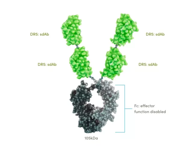 Ozekibart-(INBRX-109)