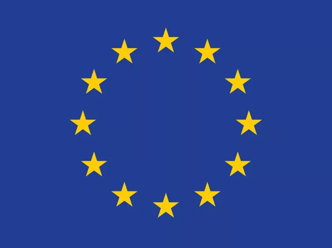 EU flag vector