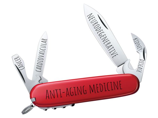 Swiss army knife labeled with disease categories