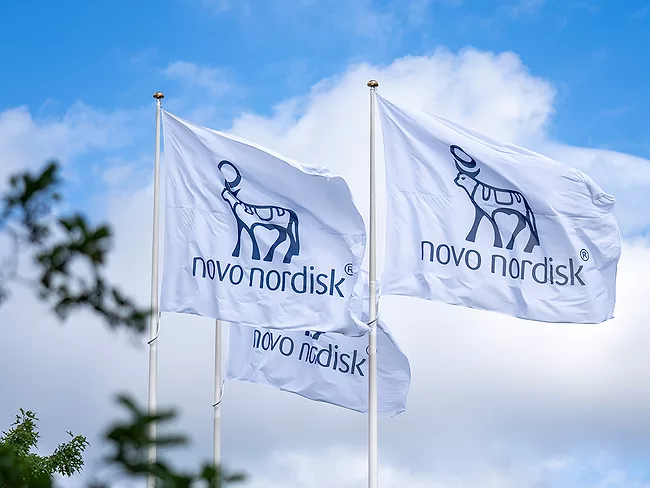 Novo Nordisk flags