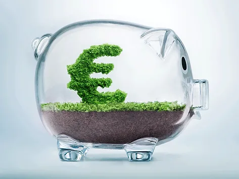Euro pig bank