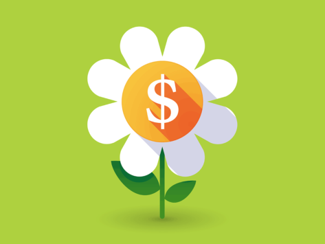 Flower with dollar sign