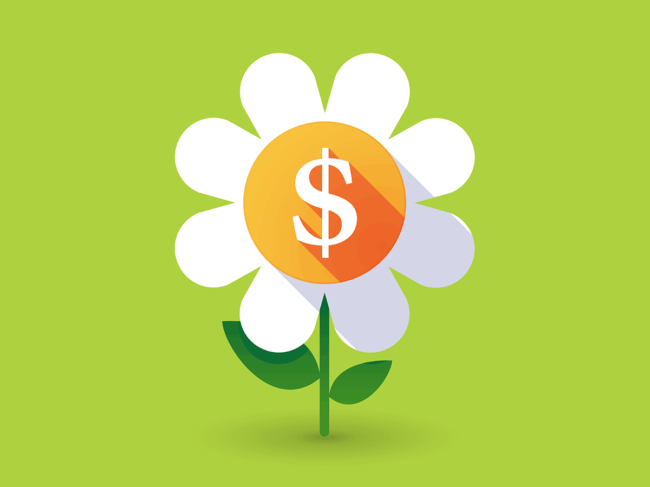 Flower with dollar sign