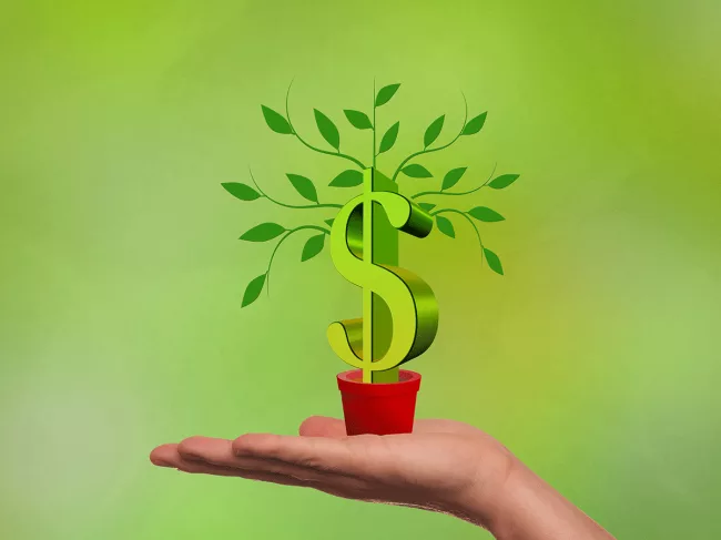newco-plant-dollar-sign.png