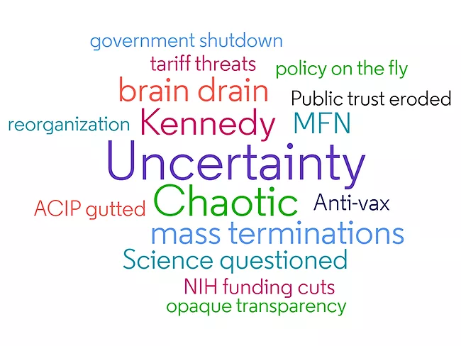 2025 US regulatory word cloud 