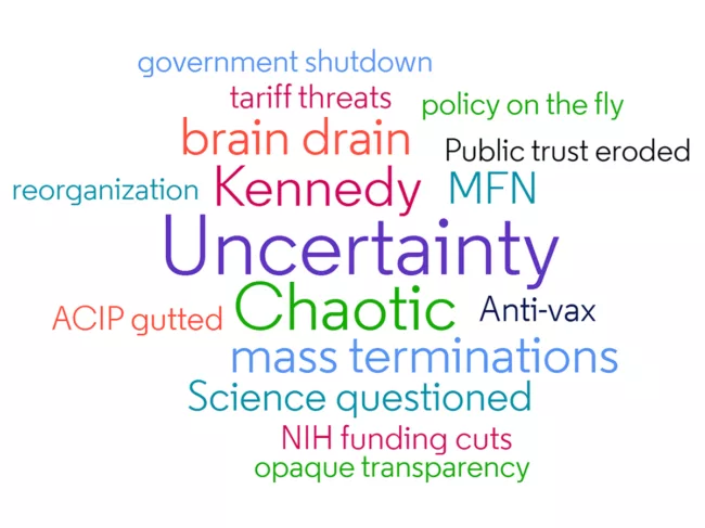 2025 US regulatory word cloud 