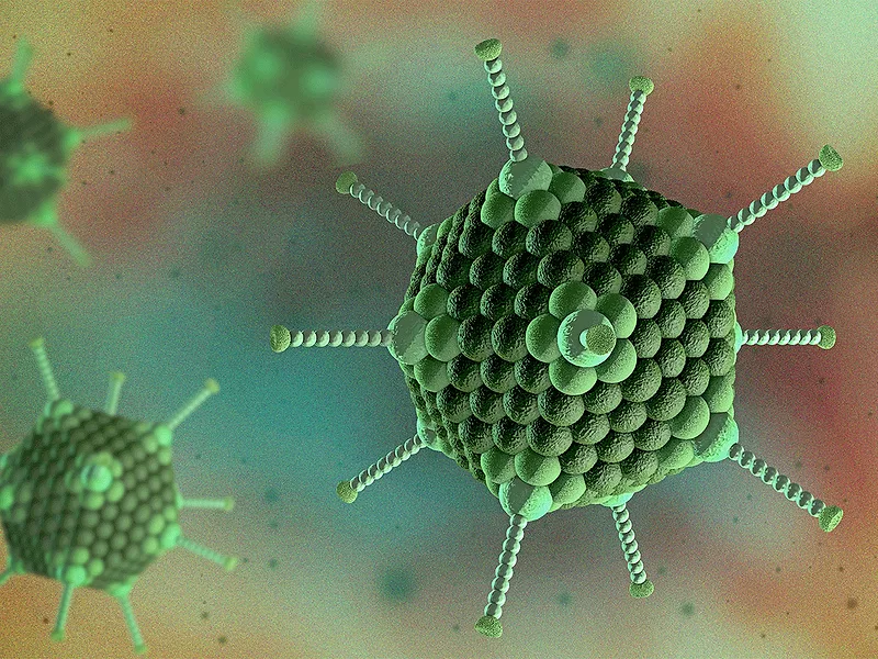 Adenovirus cells Adenovirus cells