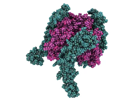 Adobestock 532547676