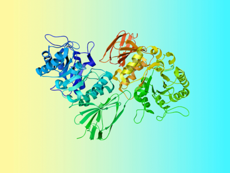 Alpha-galactosidase enzyme
