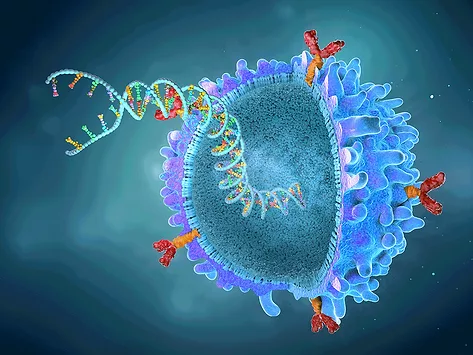 Car t cell with gene strand