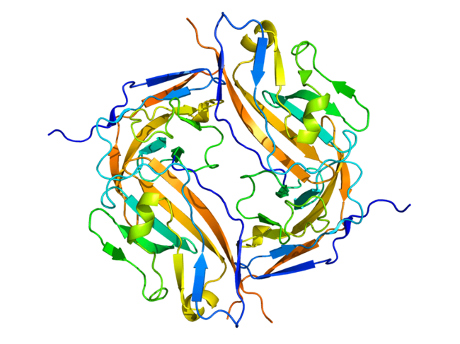 CD47 protein structure