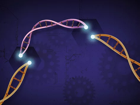 CRISPR Cas9 illustration