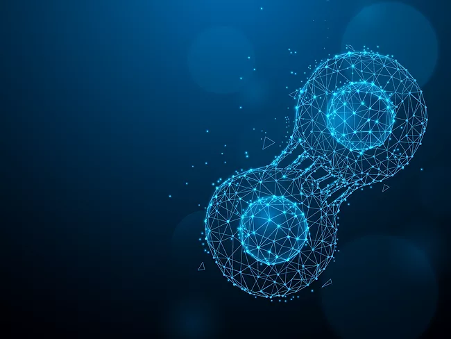 Illustration of cell dividing