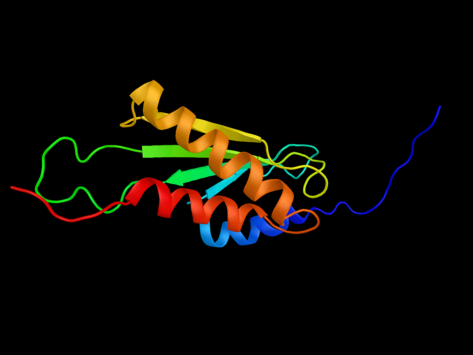 E3 ubiquitin protein ligase rnf25