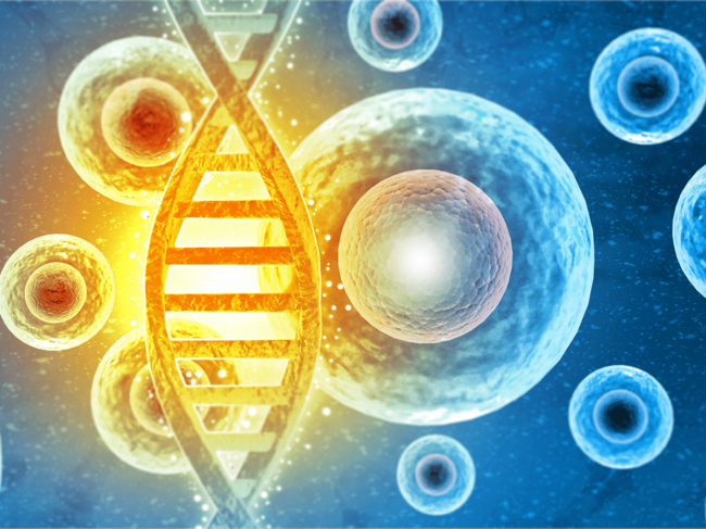 Cells, DNA illustration