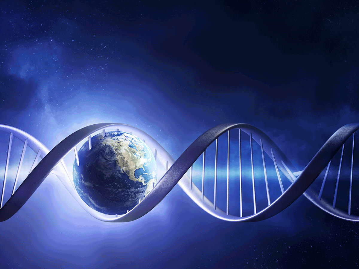 Sarepta Strengthens Itself In U S And Stretches Worldwide With Roche Deal Gaining 1 5b Up Front 19 12 23 Bioworld