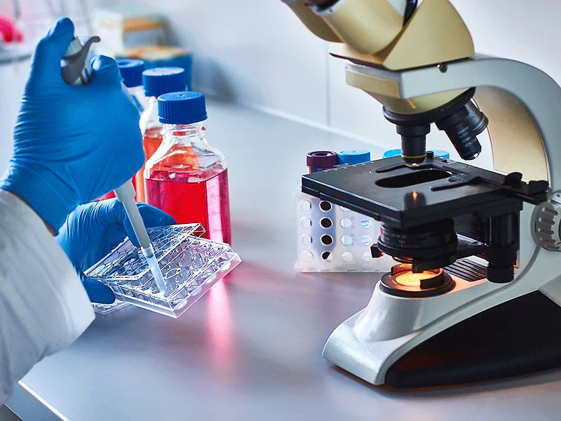 Lab research with pipette, microsope Lab research with pipette, microsope