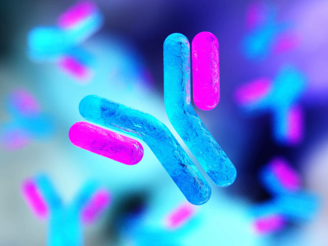 Illustration of pink and blue antibodies