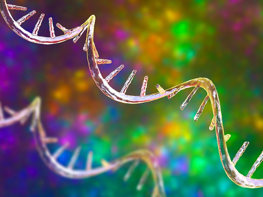 Lilly enters $1.9B kidney disease deal for Ascidian’s exon editors