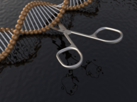 Scissors and gold DNA on black blackground