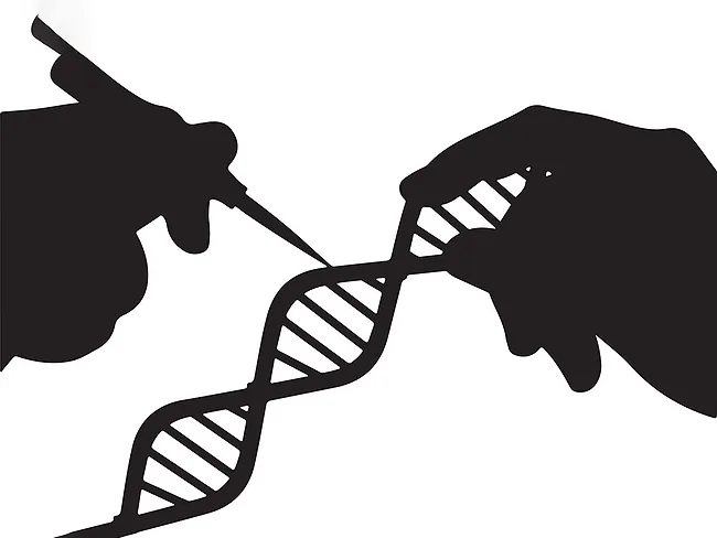 Silhouette illustration of DNA gene editing