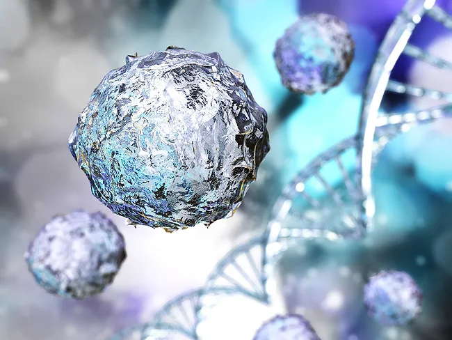 Stem cells and DNA