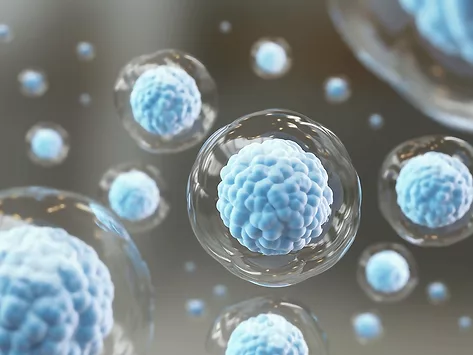 Stem cells2