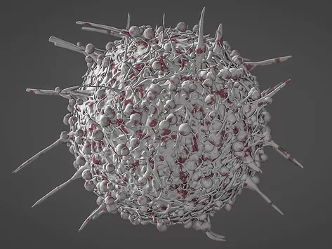 T cell gray and red 