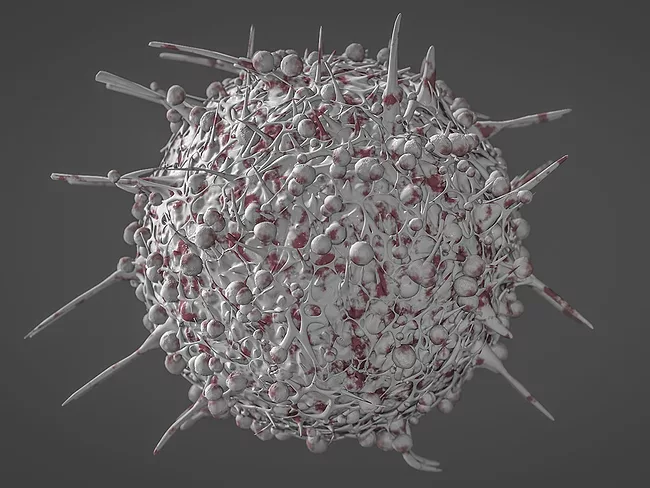 Gray and red T cell