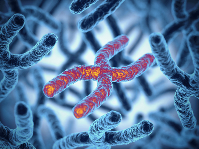3D illustration of chromosomes