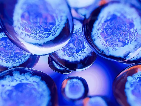 Stem cells