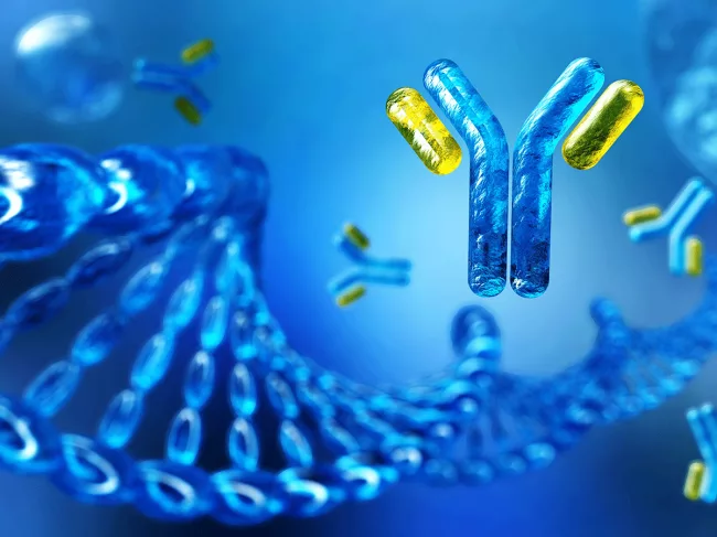 DNA and antibodies