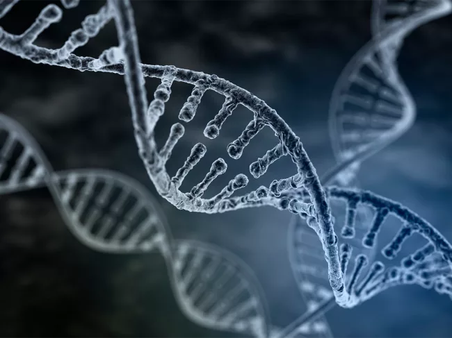DNA-sequencing.png