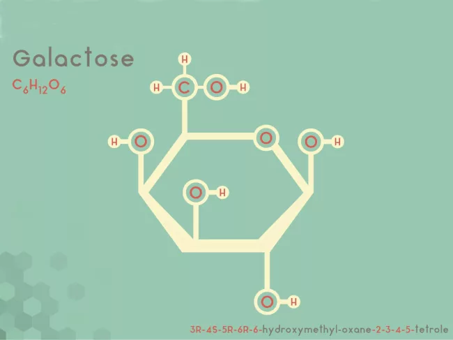 Galactose