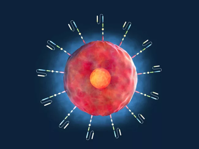 Red CAR T cell on blue blackground