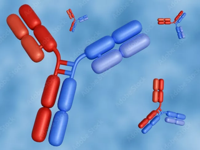 Red and blue bispecific antibodies