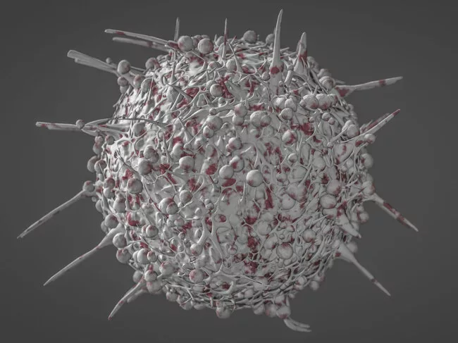 Gray and red T cell