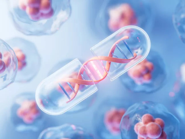 Transparent capsule with DNA and cells