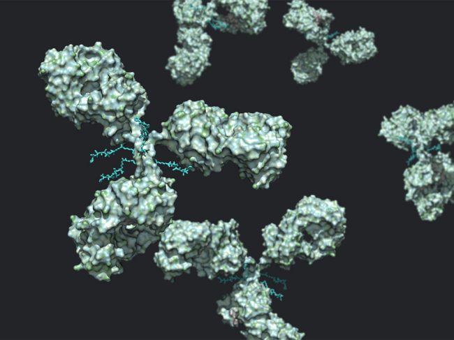 3D rendering of drug linked to antibody