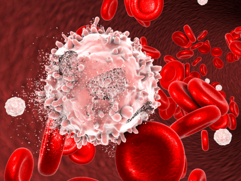 Blood cancer illustration