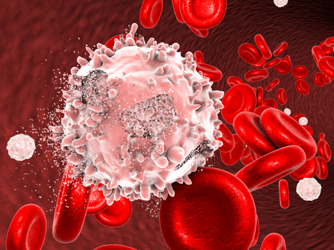 Blood cells and destruction of cancer cell