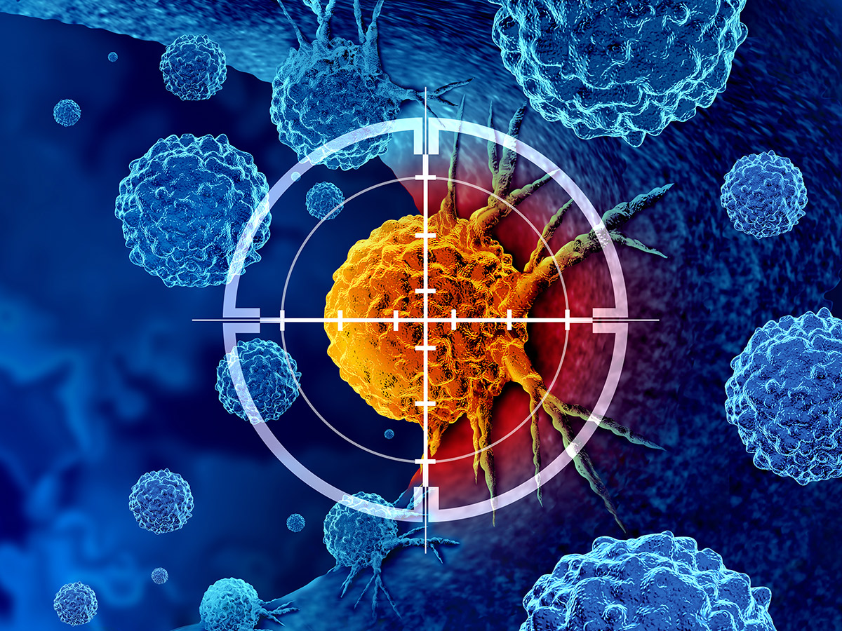 dhq taxifolin Discovery of indirubin-based bifunctional molecule with potent anticancer activity | BioWorld dhq taxifolin Discovery of indirubin-based bifunctional molecule with potent anticancer activity | BioWorld