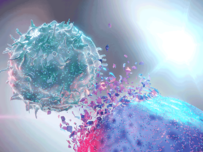 Natural killer cell attacking cancer cell