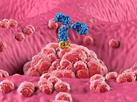 Illustration of monoclonal antibody treatment for cancer