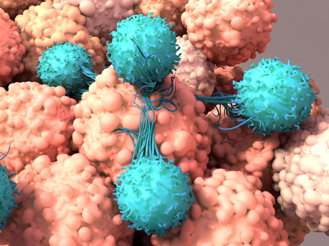 3D illustration of T cells fighting cancer
