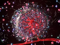 3D Rendering of tumor microenvironment